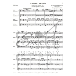 Haydn, Joseph - Andante Cantabile 