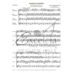 Haydn, Joseph - Andante Cantabile