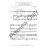 Drennan, Patti Janell - A Celtic Blessing 
