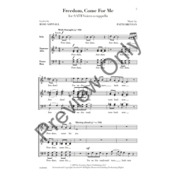 Drennan, Patti Janell - Freedom, Come for Me 