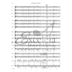Sciaino, Peter - Virtual Warrior 