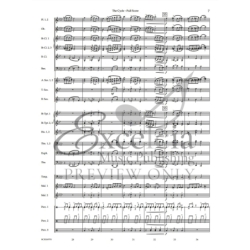 Sciaino, Peter - The Cycle 