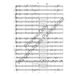 Sciaino, Peter - Vision 