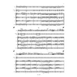 Michl, Joseph Willibald - Concerto in B-flat major 