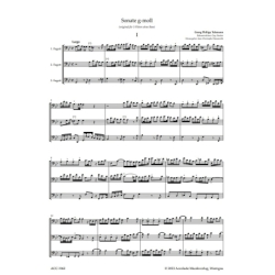 Telemann, Georg Philipp - Sonata in G minor 