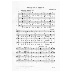 Enders, Fabian - O Heiland, reiß die Himmel auf 