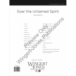 Barrett, Roland - Soar The...