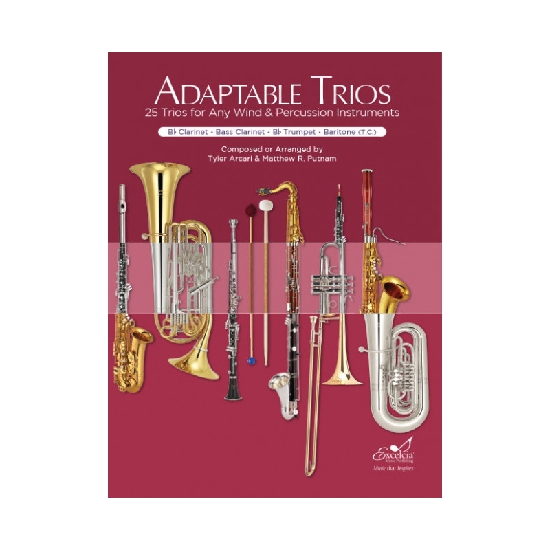 Arcari / Putnam - Adaptable Trios