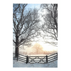 Winter Morning in Yorkshire...