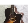 Cort GA1E Acoustic Guitar