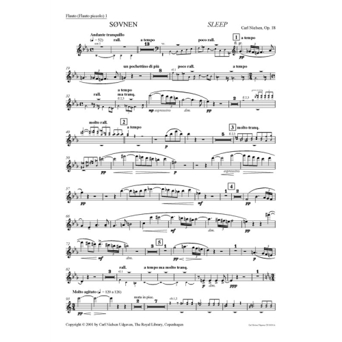 Nielsen, Carl - Sleep