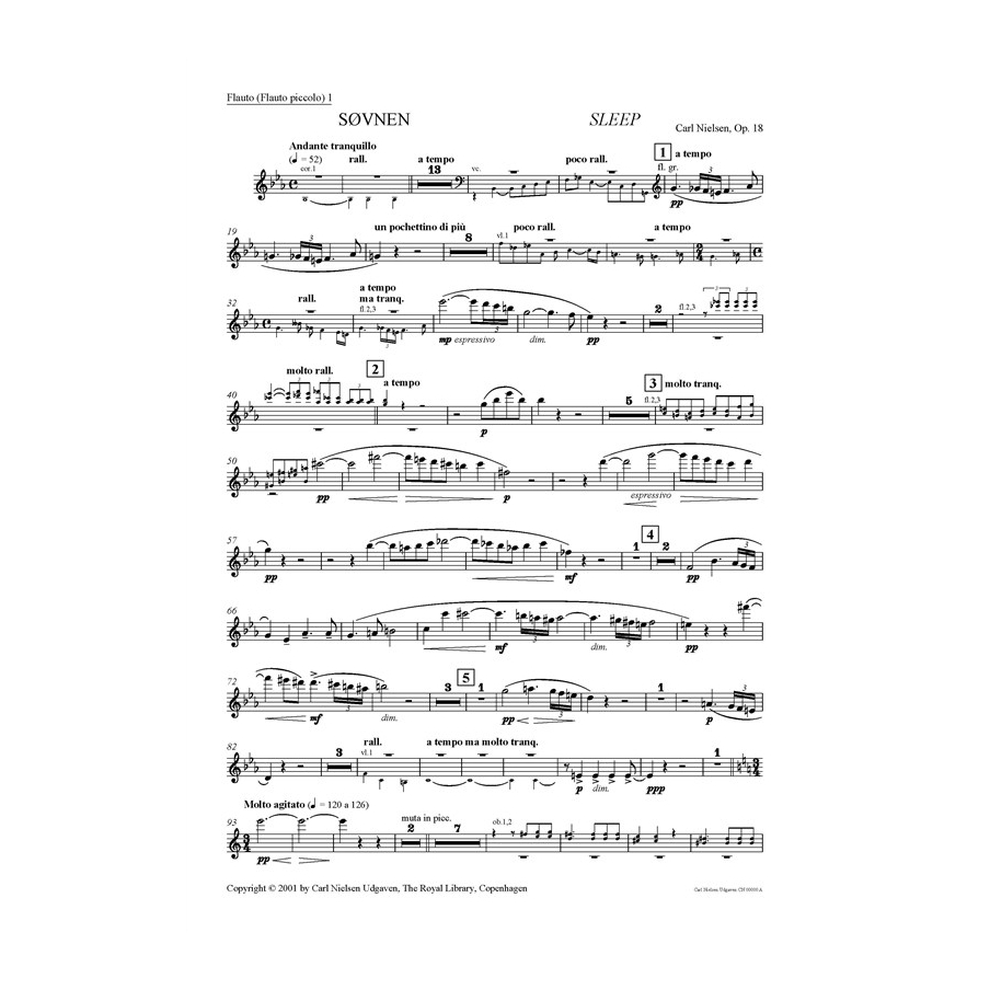 Nielsen, Carl - Sleep