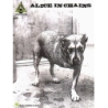 Alice in Chains