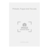 Wilby, Philip - Prelude, Fugue And Toccata