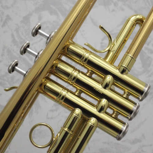 Vincent Bach TR-555G Bb Trumpet Outfit