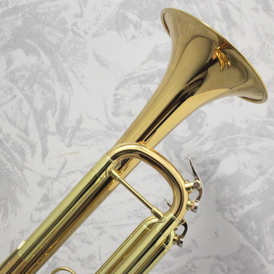 Vincent Bach TR-555G Bb Trumpet Outfit