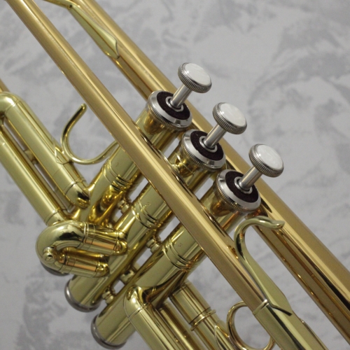 Vincent Bach TR-555G Bb Trumpet Outfit