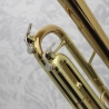 Vincent Bach TR-555G Bb Trumpet Outfit