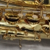 Yanagisawa TWO1 'Professional' Tenor Saxophone