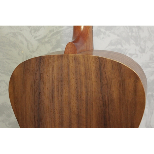 Ashbury Rathlin Tenor Guitar