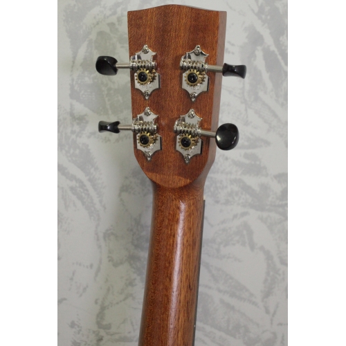 Ashbury Rathlin Tenor Guitar