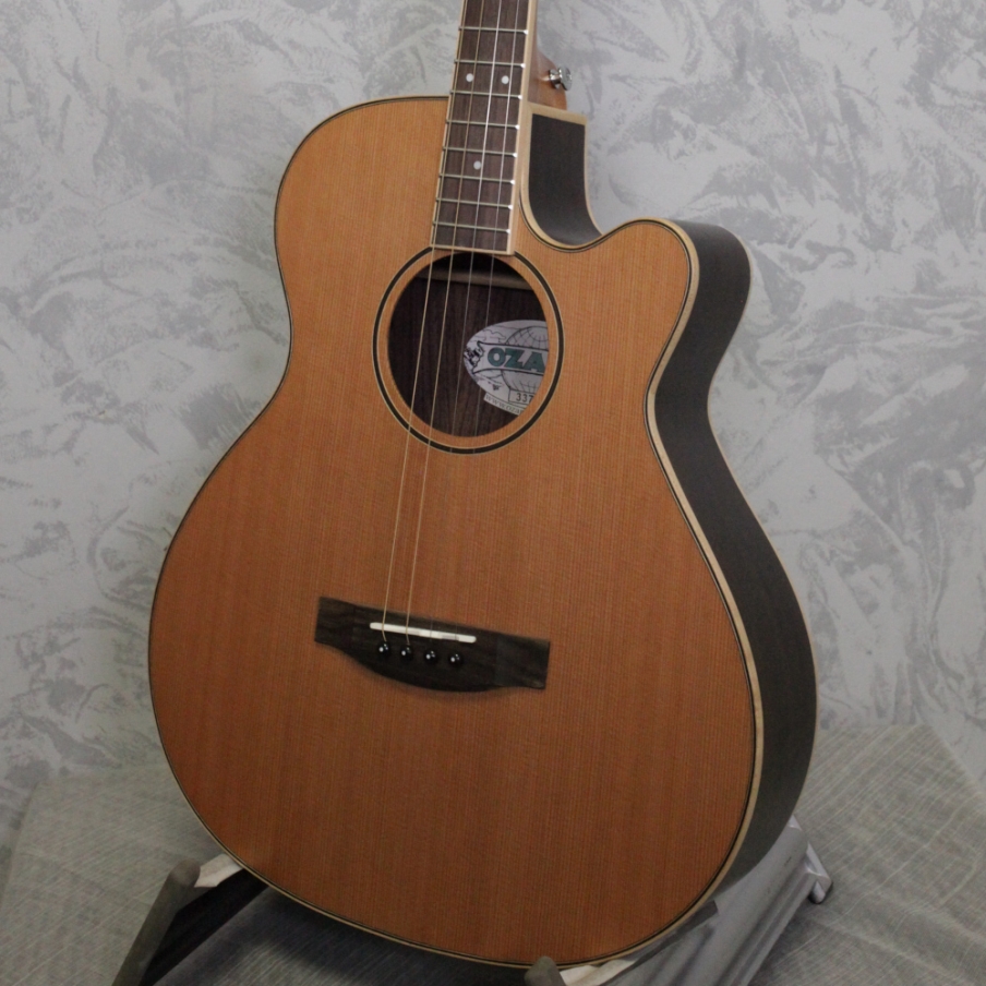 Ozark 3372C Tenor Guitar