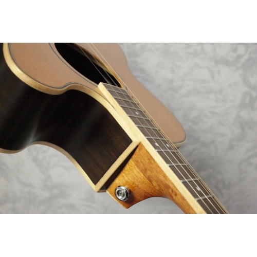 Ozark 3372C Tenor Guitar