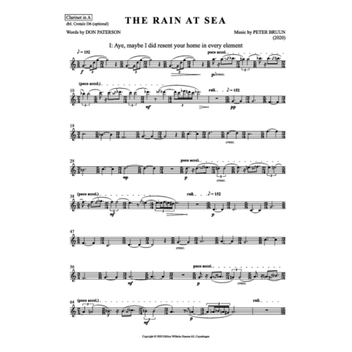 Bruun, Peter - The Rain at...