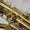 Trevor James Signature Custom Alto Saxophone