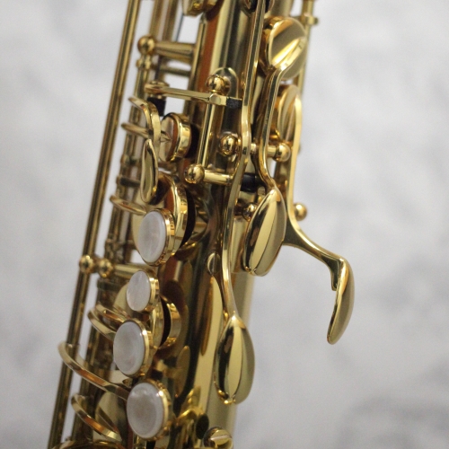 Trevor James Signature Custom Alto Saxophone