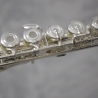 Trevor James Cantabile Open Hole Flute