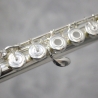 Trevor James Cantabile Open Hole Flute