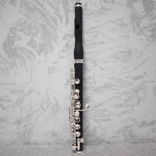 Trevor James 5x Piccolo