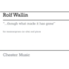 Wallin, Rolf - ...though what made it has gone
