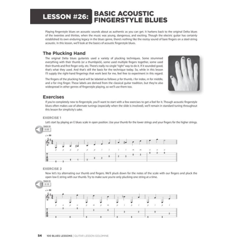 100 Blues Lessons