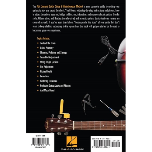 Guitar Set Up & Maintenance