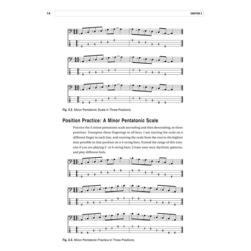 Anthony Vitti: Funk Bass Fills