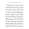 Flute Concerti in D Major, G Major, A Minor