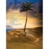 Rodgers & Hammerstein - South Pacific