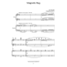 Joplin Ragtime Duets