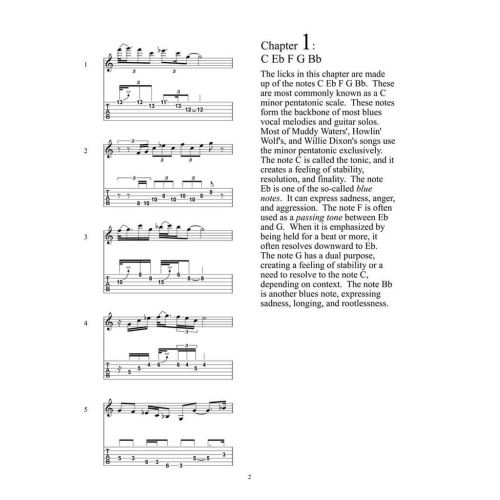 2000 Blues Licks That Rock!