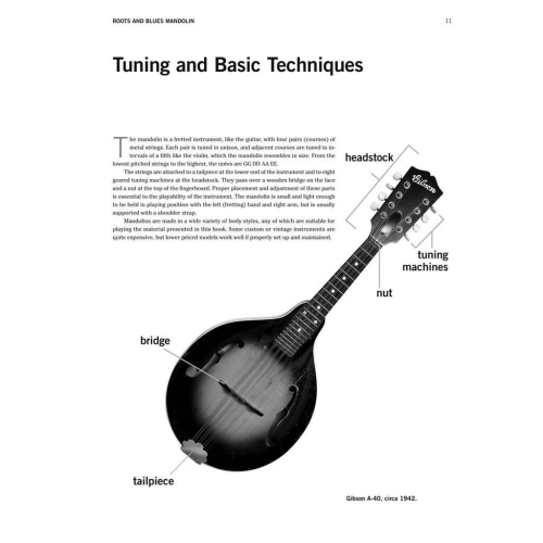 James, Steve - Roots and Blues Mandolin