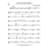 Broadway Hits - Flute