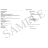 Rockschool: Popular Music Theory Workbook Grade 7