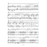 Accolay, Jean-Baptiste - Concerto No. 1 for Violin and Piano