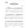 Dusapin, P. - Forma fluens