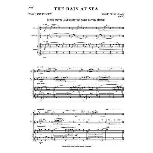 Bruun, Peter - The Rain at Sea (Parts)