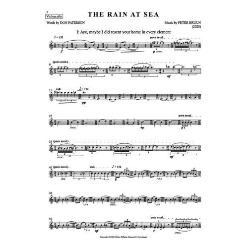 Bruun, Peter - The Rain at Sea (Parts)