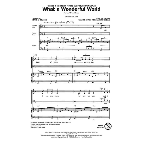Thiele & Weiss - What a Wonderful World