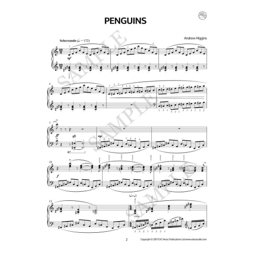Higgins, Andrew - Birds Etudes-Tableaux